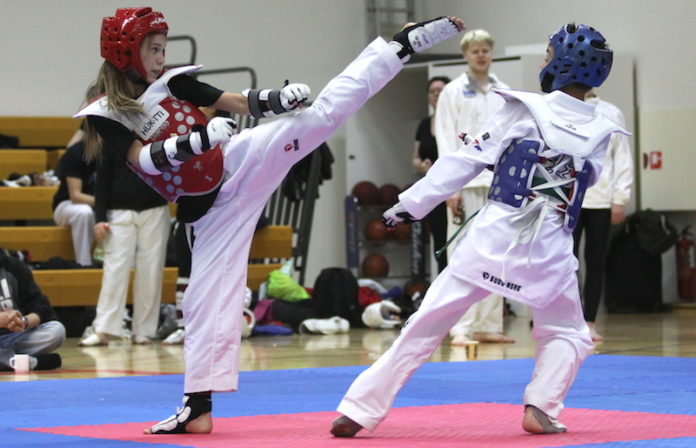 taekwondo_nordik2014gk_166021317