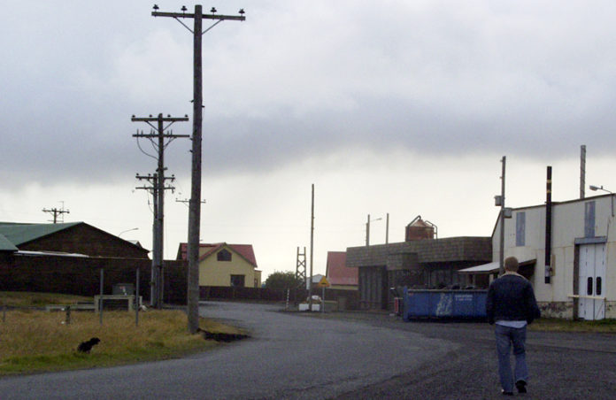 thikkvibaer030905jsh_730008073