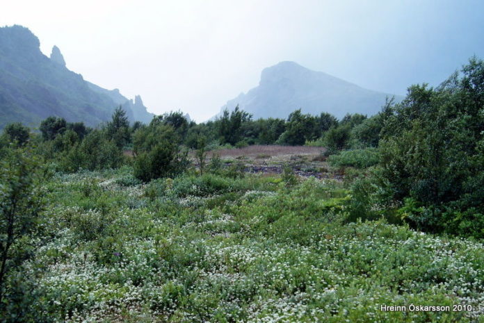 thorsmork_hreinno2010_283957999