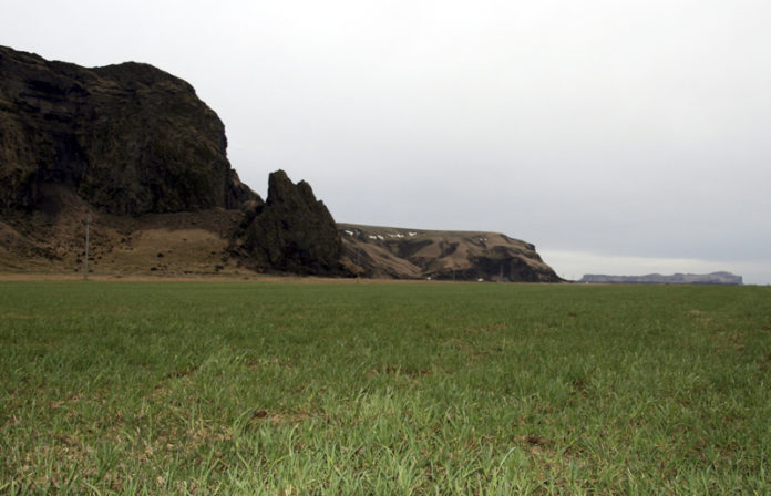 tun_2mars2013_745431041