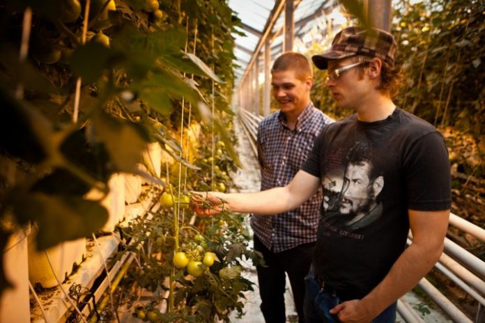 ursveitinni2011_839944218