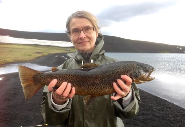 veidivotn_kristinrun2017_120133861