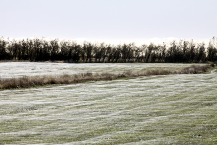 vetrarkvidi051012gk_317195831