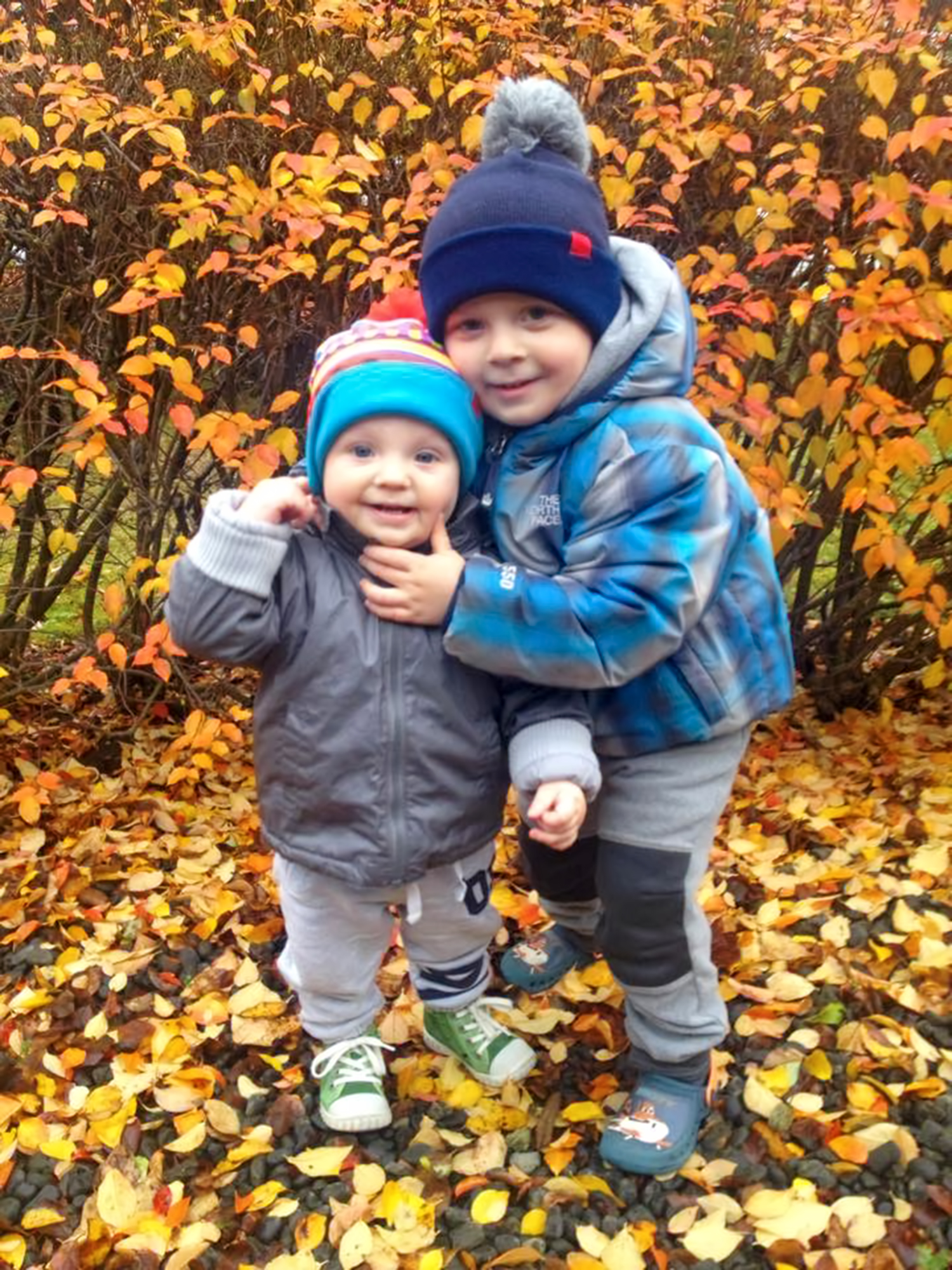 vis_hufur2015Hvolsvollur_571669717