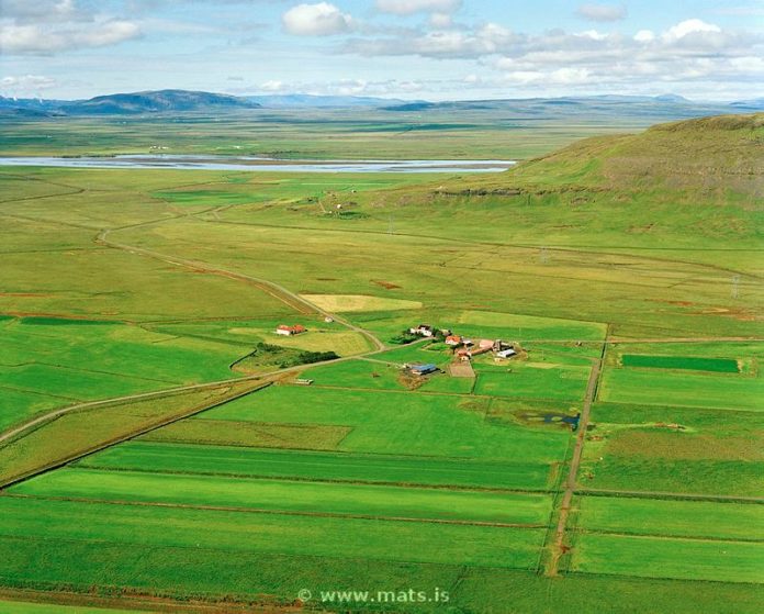 vorsabaer_mats_174733585